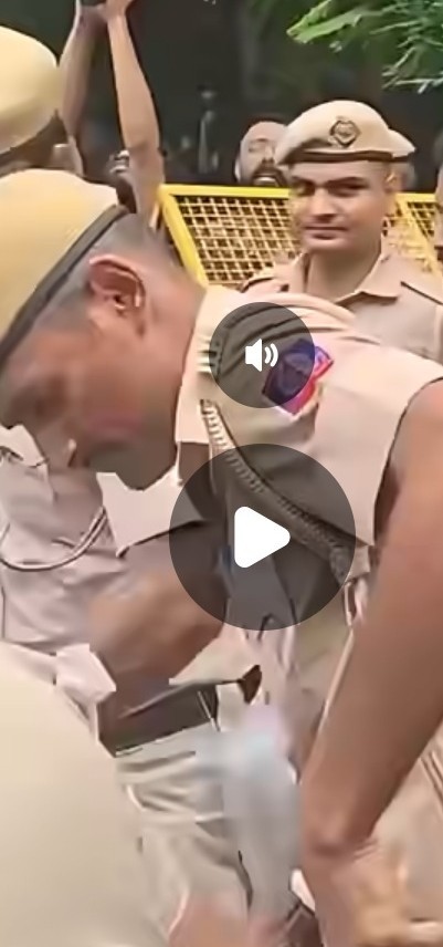 Alleged perpetrator