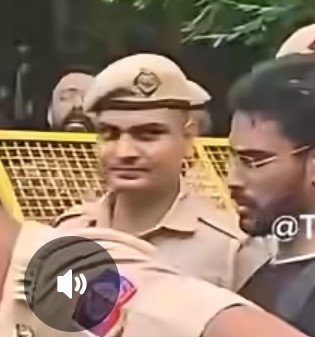 Alleged perpetrator